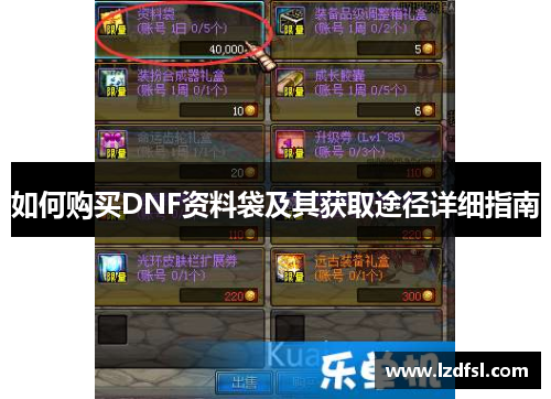 如何购买DNF资料袋及其获取途径详细指南